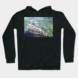 Fairy Garden Village - Toadstools, Mushrooms and the joy of Nature Hoodie